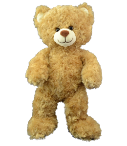 Brown Sugar the Bear